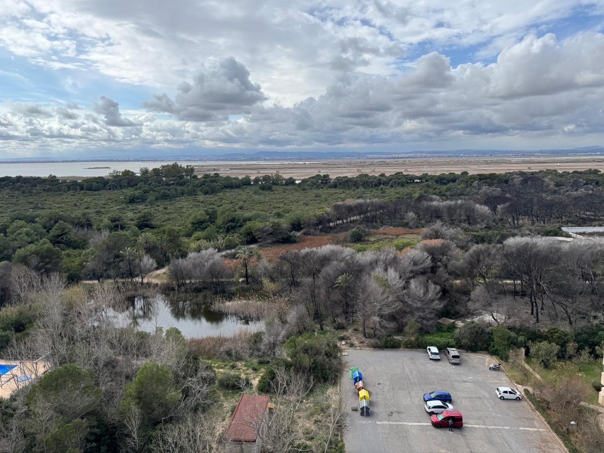 Gran Apartamento, Un Lujo En Playa El Saler - Valencia Eksteriør billede